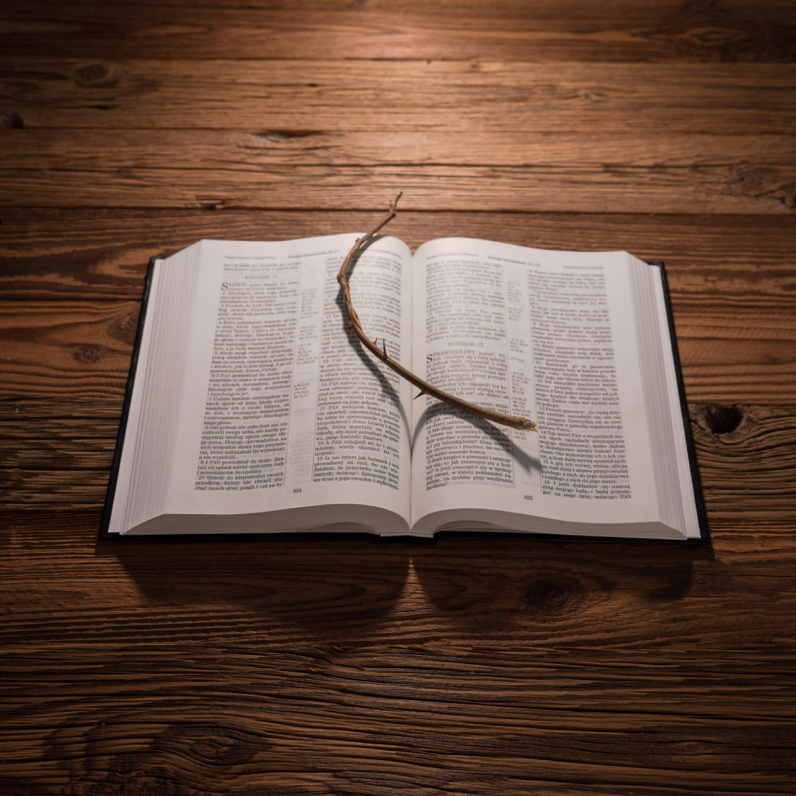 An Opened Bible with a Stick with Thorns Lying on a Wooden Background 