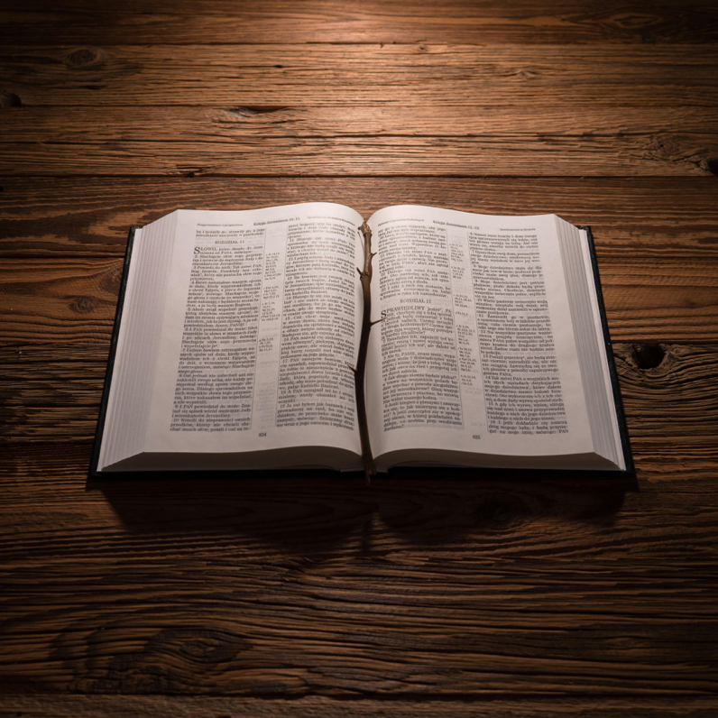 An Opened Bible with a Stick with Thorns Lying on a Wooden Background 